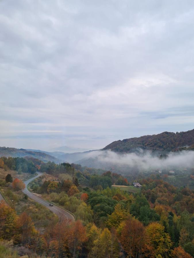 Mountain Side Διαμέρισμα Κοπαόνικ