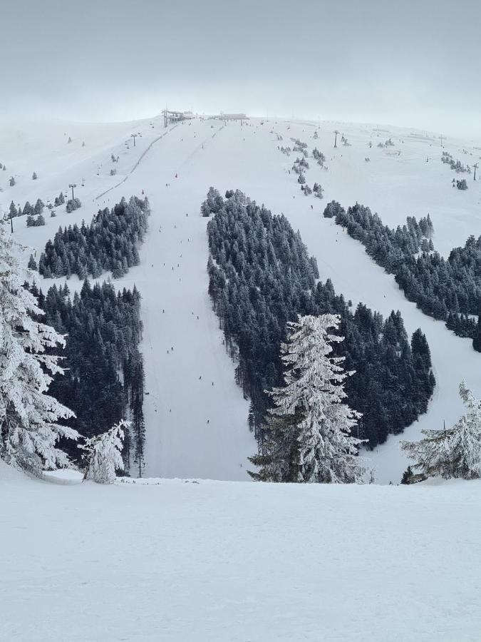 Mountain Side *